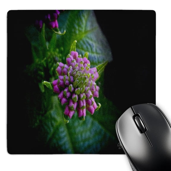 3dRose, Purple Pillows Flowers - Home Décor, MousePad