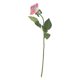 thumbnail image 3 of 8 Uds. Flor de rosa Artificial arcoíris prensa Real flor de seda Artificial, 3 of 5