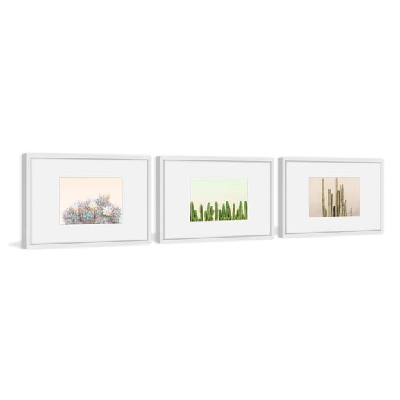 Floral Cactus Triptych, Art Prints, 54.00" x 1.50"