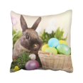 thumbnail image 1 of RYLABLUE Brown Fluffy Easter Bunny and Eggs on Green Grass Colorful Happy Rabbit Adorable Animal Pillowcase 20x20 inch, 1 of 1
