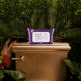 thumbnail image 6 of Goodwipes Flushable Butt Wipes, Lavender Scented, 3 Pack, 150 Total Wipes, 6 of 9