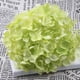thumbnail image 2 of Flor De Seda Artificial Perfecl Hortensia Verde 19 cm 12 cm, 2 of 8