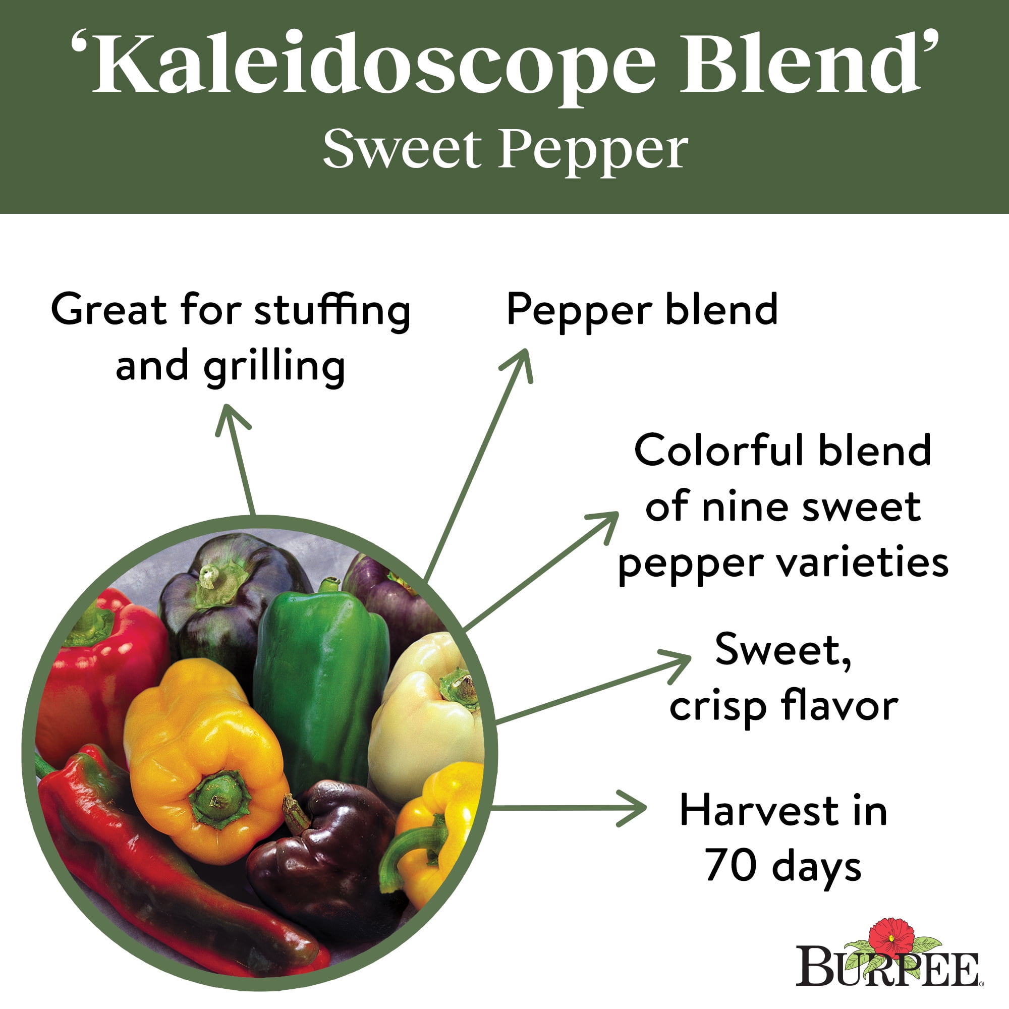 Burpee Kaleidoscope Blend Sweet Pepper Vegetable Seed, 1-Pack