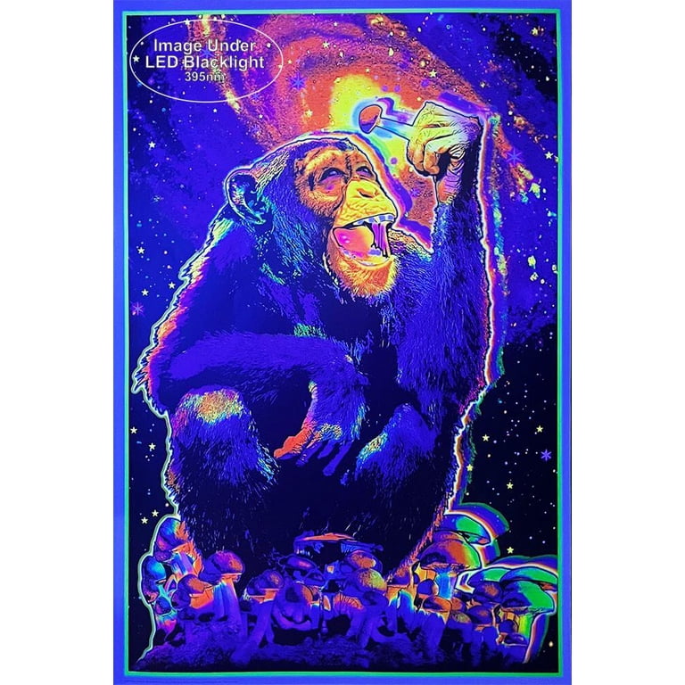 Studio B Gorilla Encounter - Non-Flocked - Lebanon Studio B Gorilla Encounter - Non-Flocked - Lebanon