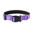 thumbnail image 1 of 12 collares reflectantes para perros, de nailon transpirable y ajustables, adecuados..., 1 of 5