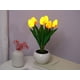 thumbnail image 2 of Lámpara de tulipán Lámpara de mesa decorativa para interiores Lámpara de maceta Amt, 2 of 8