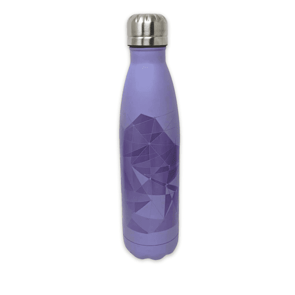 Disney Water Bottle - Tomorrowland Purple Wall