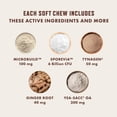 thumbnail image 3 of Rocco & Roxie Probiotics for Dogs, Support Gut and Digestive Health, Anti Diarrhea, Constipation & Gas Relief, Allergies, & Itchy Skin, Prebiotics, Enzymes, Puppy to Senior Dog Supplements Chews 60ct, 3 of 8