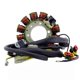 thumbnail image 4 of Stator Stator Coil for Sportsman 600 Sportsman 700 2002-2006 4010709 4011103 4060150 2202602 2202603, 4 of 5