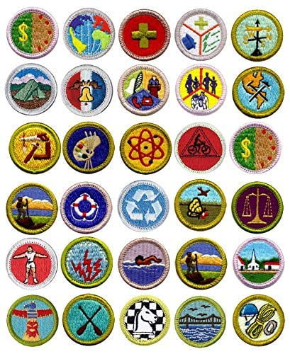 Eagle scouts edible cake topper or cupcakes picture rank boy sugar paper image