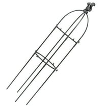 Sturdy Plant Climbing Rack for Potted Plants Black Fiberglass and Plastic 1 Set