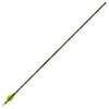Gold Tip Xt Hunter Arrow With 2" Vanes,