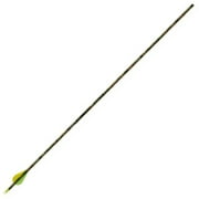 Gold Tip Xt Hunter Arrow With 2" Vanes,