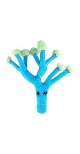 giant microbes penicillin