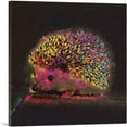 thumbnail image 1 of ARTCANVAS Colorful Hedgehog Home decor Canvas Art Print - Size: 36" x 36" (1.50" Deep), 1 of 9