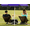 Purple, variant on Shade Umbrella, Premium Portable Umbrella with Stand, 6.5ft Lightweight Free Standing Canopy for Sporting Games, Adjustable Instant Sun Protection and Easy to Carry, Pink