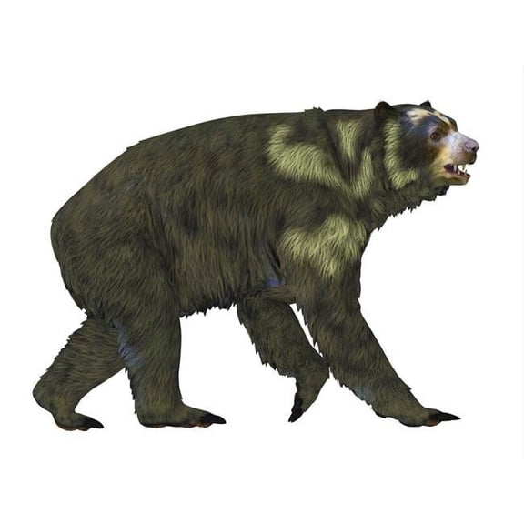 Arctodus Short-Faced Bear Poster Print - 16 x 12