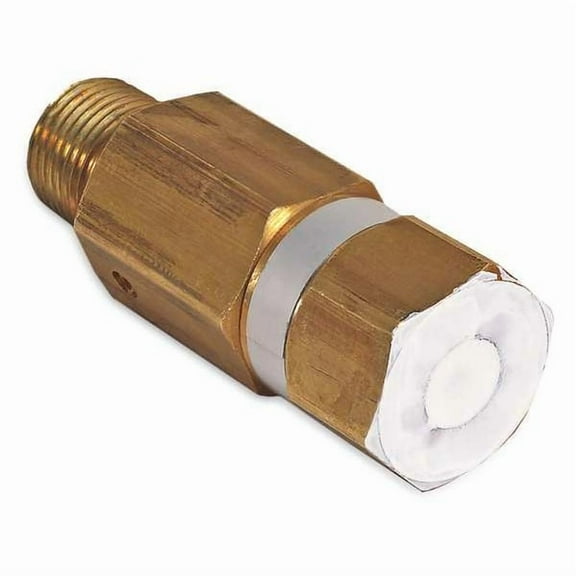 Mi-T-M Pressure Relief Valve 22-0273