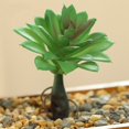 thumbnail image 2 of Coofit Mini Artificial Succulent DIY - Faux Succulent Plant Plastic Greenery Decoration, 2 of 3
