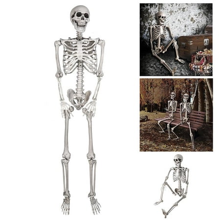 5ft Full Body Skeleton Props with Movable Joints for Halloween Party (Best Halloween Party Ever)