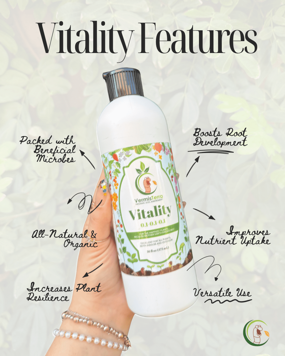 VermisTerra Tea and Vitality - Thumbnail 4