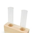 thumbnail image 4 of kurtrusly Glass Test Tube Vase Planter Plant Terrarium for Hydroponics Plants 2 Tubes, 4 of 7