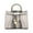 Cayden Snake Light Grey, variant on Cassia Women’s Satchel Bag Vegan Leather Crossbody Bag Handbag Purse by Mia K