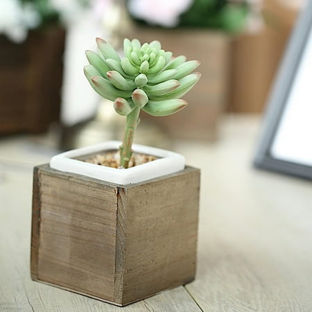 Wood Centerpieces Michaels BalsaCircle 2 pcs 4-Inch Brown Wood Rustic Square Boxes Planter Holders Centerpieces - Wedding Party Supplies Crafts Decorations ()