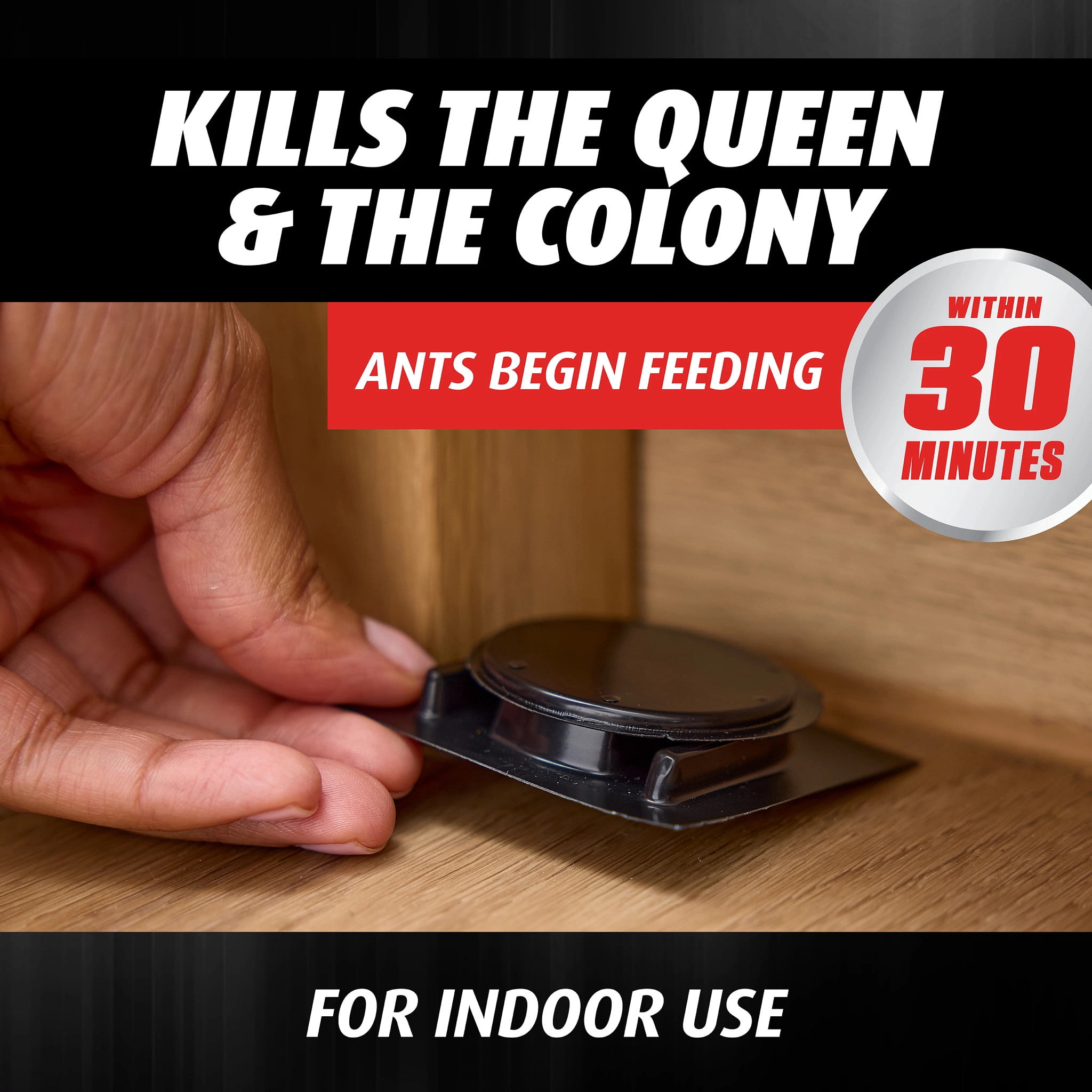 Ortho Orthene Ant Killer Ant Bait, Kills the Queen and the Colony, 8 Stations