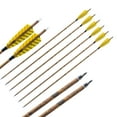 thumbnail image 2 of AME 6/12pcs 30'' Archery Carbon Arrows Spine 500 Turkey Feathers Target Hunting, 2 of 8