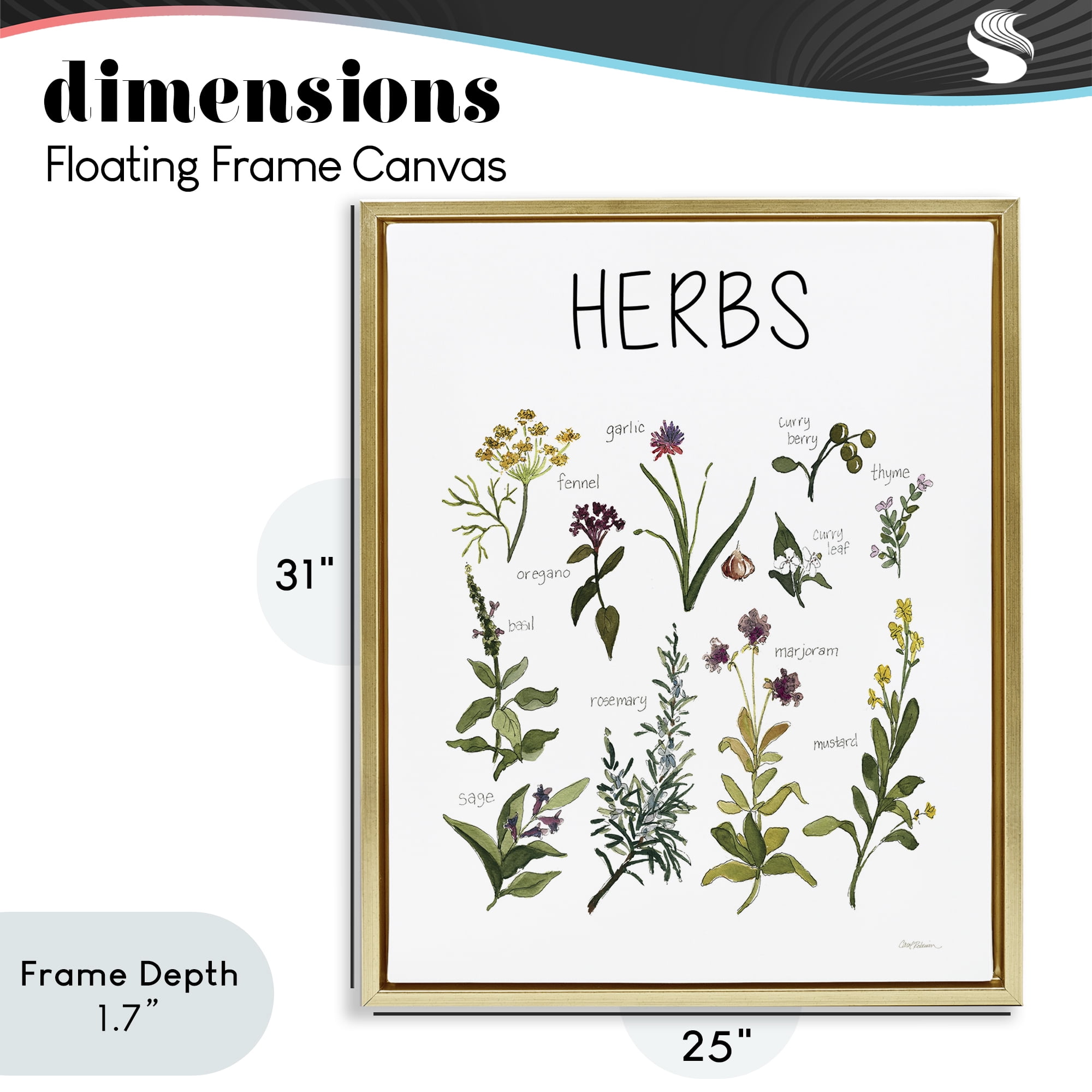 Stupell Industries Herbs Identification Chart Gold Framed Floater Canvas Wall Art, design by Carol Robinson