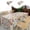 B, variant on Leodye 1 Pack Plastic Table Cloth Disposable - Heavy-Duty Inch Plastic Table Cover - Waterproof Tablecloth for Weddings, Parties, BBQs and Outdoor Dining Events