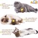 thumbnail image 3 of Juguete de bola de hierba gatera - Bola rascadora recargable para gatos - El fiel compañero de juegos de Kitty - Ayuda a reducir la obesidad y la soledad - Marrón, 3 of 5