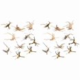 thumbnail image 2 of Mini Driftwood para Acuario Ramas de Madera Natural Decoraciones para Peceras de árbol Driftwood Surtido (Paquete de 30), 2 of 8