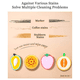 thumbnail image 5 of Esponja de cocina espesada con forma de fruta bonita, limpieza ligera de descontaminación multifuncional, 5 of 5