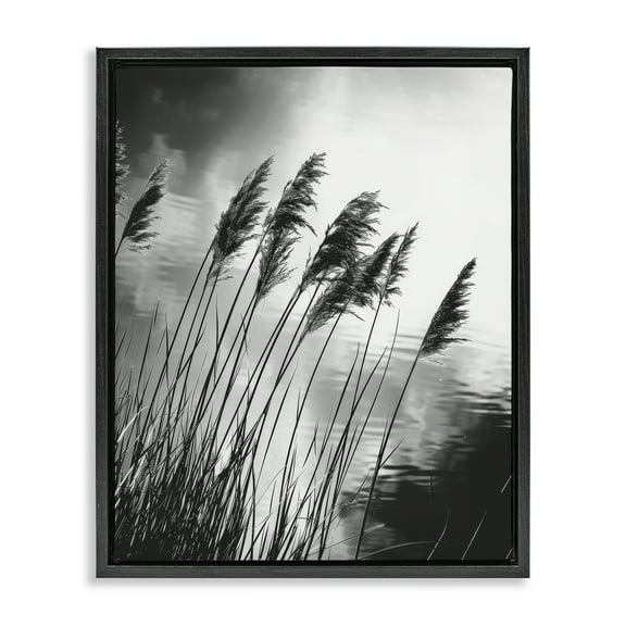 Stupell Industries Stark Contrast Wheat Landscape & Nature Photography Black Floater Framed Canvas Art Print Wall Art, 17 x 21