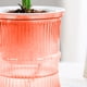 thumbnail image 4 of Maceta de Autorriego | Maceta de Plástico Transparente con Depósito de Agua para Plantas de Interior | 12 X 10,5 X 10,5 Cm | Roja, Azul o Verde | Juego de 1 Unidad, 4 of 7