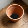 thumbnail image 1 of BRIGHTFUFU 60Ud Para Drenaje Y En Macetas Color Negro, 1 of 8