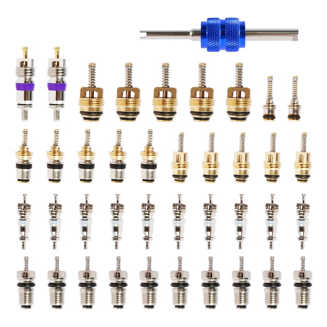 40Pcs AC Valve Core Kit R12 R134a Car Air Conditioner Valve Core Accessories Portable Refrigeration Tire Valve Stem Core Assortment Kit with Remover Tool for Mechanics Most Cars