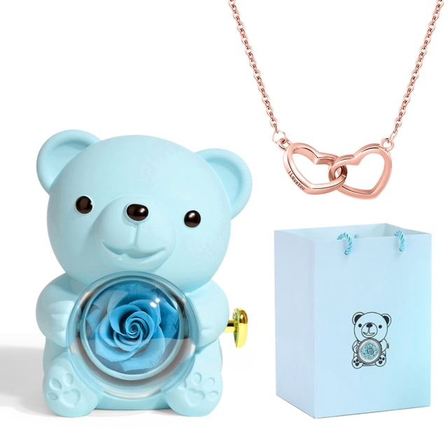 Preserved Rose Hug Bear Gifts for Women with Heart Necklace,Eternal Rose Flowers Bear Gifts for Wife Mom Grandma Girlfriend Christmas Valentines Day Birthday