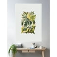 thumbnail image 2 of Various Ivy Leaves From The Ivy, A Monograph (1872) Poster Wall Art, Modern Wall Decor For Living Room Bedroom, 12x18 UNFRAMED, 2 of 3