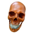 thumbnail image 1 of Bewildely Modelo de resina de cráneo humano tamaño real 1:1 esqueleto realista anatómico marrón 1 Decoración del hogar Calavera amarilla, 1 of 6
