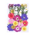 thumbnail image 1 of Juego de 30 flores secas hechas a mano, material de flores mixtas, muestras de plantas de flores para el hogar., 1 of 7