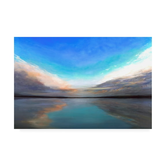 Trademark Fine Art 'Salt Flats III' Canvas Art by Sheila Finch
