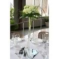 thumbnail image 3 of Craft And Party 12" Hand-Blown Parisian Elegance White Glass Eiffel Tower Vase, Set of 12, 3 of 3
