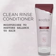 thumbnail image 4 of Rooted Rituals Ginger Root and Aloe Hydrating Conditioner, 8.4 Fl Oz, 4 of 10