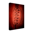 thumbnail image 2 of Trademark Fine Art 'Leather' Canvas Art by Philippe Sainte-Laudy, 2 of 4