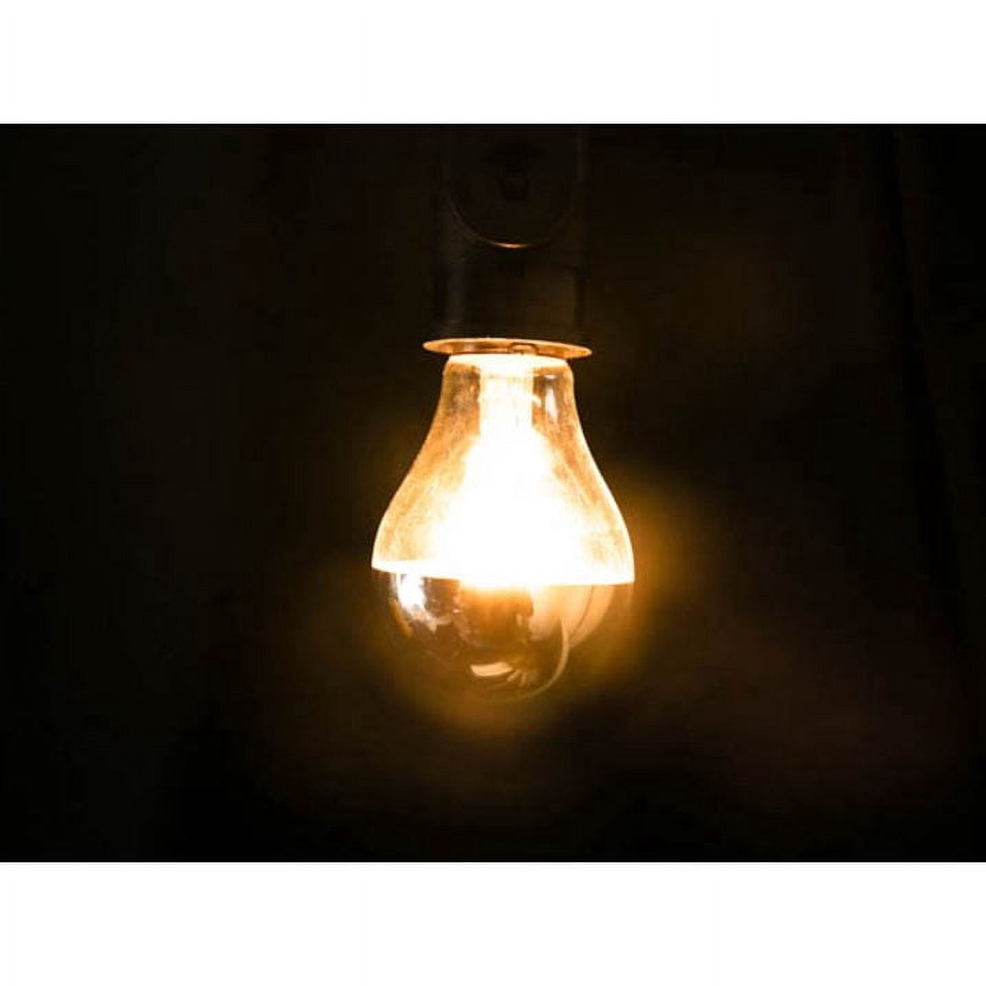 Satco S3244 G16.5 Silver Crown Incandescent Light Bulbs 25W 120V 2700K E12 Candelabra Base Dimmable (25 Pack)