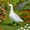 White-A, variant on Goose Statue, Resin Porch Goose Decorations Outdoor, Mini White Geese Garden Animal Figurine for Patio, Balcony, or Front Porch Decor, White