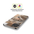 thumbnail image 2 of Head Case Designs Famous Animals Coyote In Snow Soft Gel Case Compatible with Apple iPhone XS Max, 2 of 7